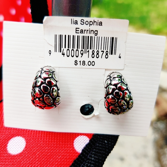 🗺️ Lia Sophia Silver Earrings Pierced New Turtle Shell Silver Tone Discontinued - Picture 4 of 7